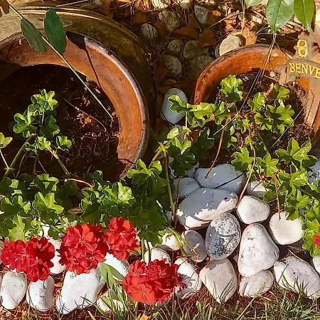 Fili D'erba Bed & Breakfast Bagnoregio