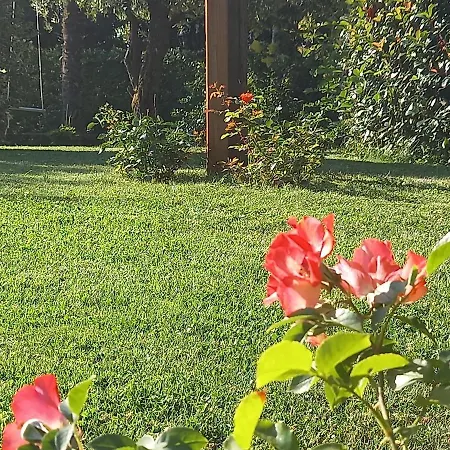 Bed & Breakfast Fili D'erba