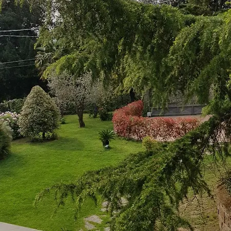 Bed & Breakfast Fili D'erba Bagnoregio