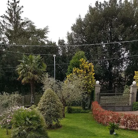 Fili D'erba * Bagnoregio