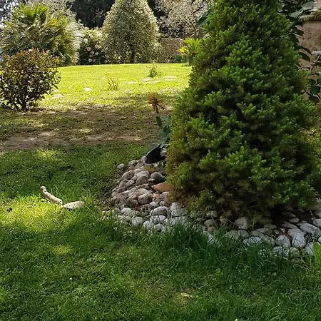 Fili D'erba Bagnoregio