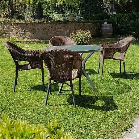 Bed & Breakfast Fili D'erba Bagnoregio