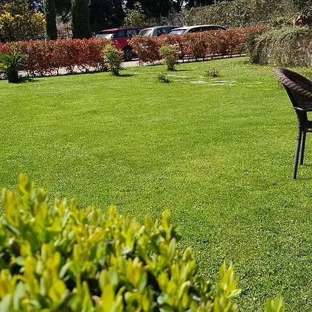 Bed & Breakfast Fili D'erba Bagnoregio