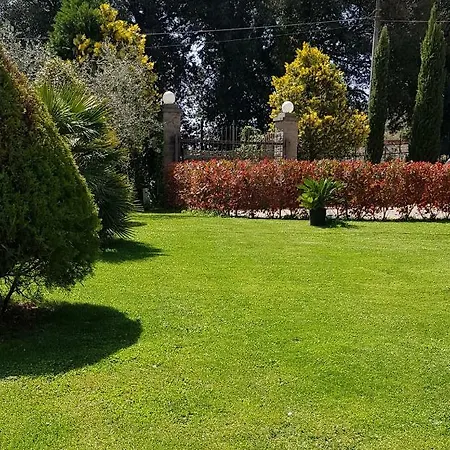 Bed & Breakfast Fili D'erba *