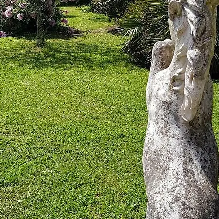 Fili D'erba Bagnoregio