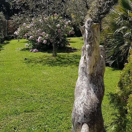 Bed & Breakfast Fili D'erba Bagnoregio