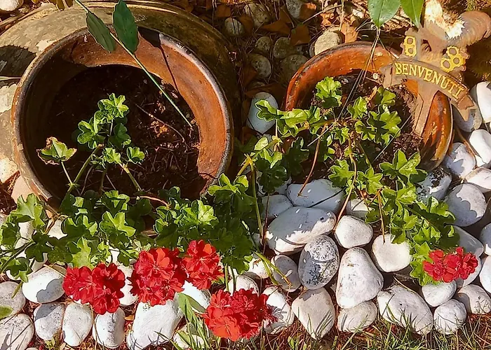 Fili D'erba Bed and breakfast Bagnoregio