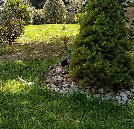 Fili D'erba Bagnoregio