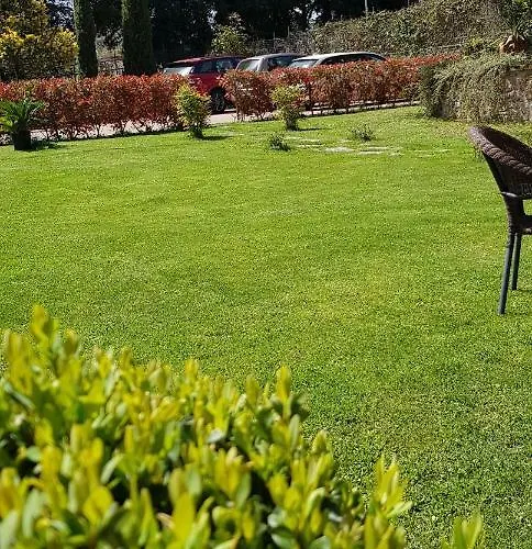 Bed and breakfast Fili D'erba Bagnoregio