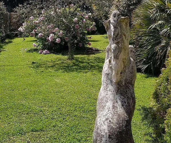 Oda ve Kahvaltı Fili D'erba Bagnoregio